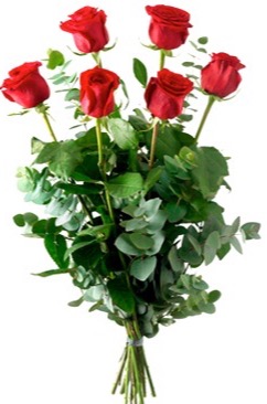 6 Rosas Rojas